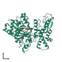 PDB entry 5yko coloured by chain, front view.