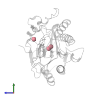 COBALT (II) ION in PDB entry 5ykp, assembly 1, side view.