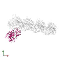 Tubulin tyrosine ligase in PDB entry 5yls, assembly 1, front view.