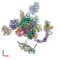 PDB entry 5ylz coloured by chain, front view.
