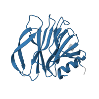 The deposited structure of PDB entry 5yms contains 8 copies of Pfam domain PF00426 (Outer Capsid protein VP4 (Hemagglutinin) Concanavalin-like domain) in Outer capsid protein VP8*. Showing 1 copy in chain A.