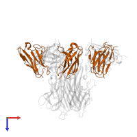 Golimumab light chain variable region in PDB entry 5yoy, assembly 2, top view.