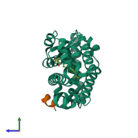 PDB entry 5yp6 coloured by chain, side view.