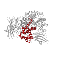 The deposited structure of PDB entry 5yq2 contains 1 copy of CATH domain 1.10.390.10 (Neutral Protease; domain 2) in Aminopeptidase N. Showing 1 copy in chain A.