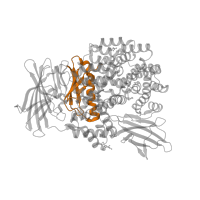 The deposited structure of PDB entry 5yq2 contains 1 copy of CATH domain 3.30.2010.30 (Zincin-like) in Aminopeptidase N. Showing 1 copy in chain A.