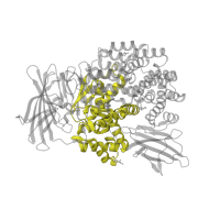 The deposited structure of PDB entry 5yq2 contains 1 copy of Pfam domain PF01433 (Peptidase family M1 domain) in Aminopeptidase N. Showing 1 copy in chain A.
