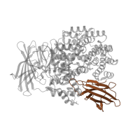 The deposited structure of PDB entry 5yq2 contains 1 copy of Pfam domain PF11940 (Domain of unknown function (DUF3458) Ig-like fold) in Aminopeptidase N. Showing 1 copy in chain A.
