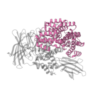 The deposited structure of PDB entry 5yq2 contains 1 copy of Pfam domain PF17432 (Domain of unknown function (DUF3458_C) ARM repeats) in Aminopeptidase N. Showing 1 copy in chain A.