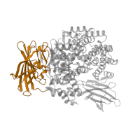 The deposited structure of PDB entry 5yq2 contains 1 copy of Pfam domain PF17900 (Peptidase M1 N-terminal domain) in Aminopeptidase N. Showing 1 copy in chain A.