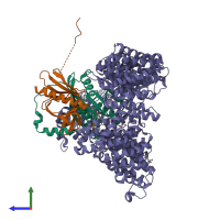 PDB entry 5ysu coloured by chain, side view.