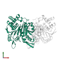 Isocitrate dehydrogenase [NAD] subunit alpha, mitochondrial in PDB entry 5yvt, assembly 1, front view.
