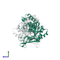 Isocitrate dehydrogenase [NAD] subunit alpha, mitochondrial in PDB entry 5yvt, assembly 1, side view.