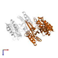 Isocitrate dehydrogenase [NAD] subunit gamma, mitochondrial in PDB entry 5yvt, assembly 1, top view.