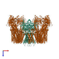 Hetero octameric assembly 1 of PDB entry 5yw9 coloured by chemically distinct molecules, top view.