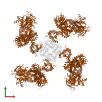 ATP-binding cassette sub-family C member 8 isoform X2 in PDB entry 5yw9, assembly 1, front view.