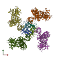 PDB entry 5ywa coloured by chain, front view.