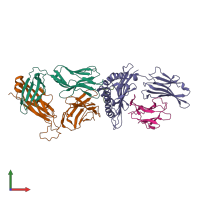 PDB entry 5yxn coloured by chain, front view.