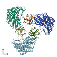 PDB entry 5yxy coloured by chain, front view.