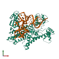 Hetero dimeric assembly 1 of PDB entry 5yyn coloured by chemically distinct molecules, front view.
