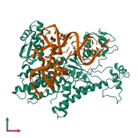Hetero dimeric assembly 2 of PDB entry 5yyn coloured by chemically distinct molecules, front view.