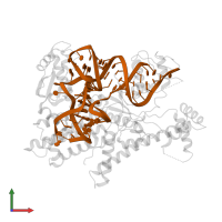 tRNA in PDB entry 5yyn, assembly 1, front view.