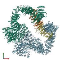 PDB entry 5yz0 coloured by chain, front view.