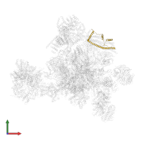 Pre-mRNA-splicing factor SPF27 in PDB entry 5yzg, assembly 1, front view.
