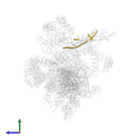 Pre-mRNA-splicing factor SPF27 in PDB entry 5yzg, assembly 1, side view.