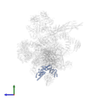 Pre-mRNA-splicing factor CWC22 homolog in PDB entry 5yzg, assembly 1, side view.