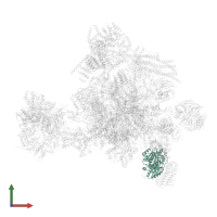 Eukaryotic initiation factor 4A-III in PDB entry 5yzg, assembly 1, front view.