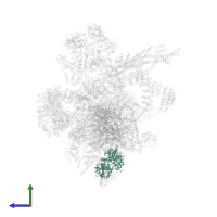 Eukaryotic initiation factor 4A-III in PDB entry 5yzg, assembly 1, side view.