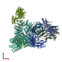 PDB entry 5z2c coloured by chain, front view.
