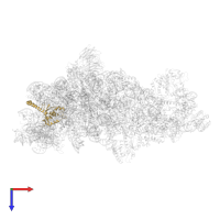 Large ribosomal subunit protein uL13A in PDB entry 5z3g, assembly 1, top view.