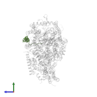 Cytochrome c oxidase subunit 8A, mitochondrial in PDB entry 5z62, assembly 1, side view.