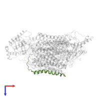 Cytochrome c oxidase subunit 8A, mitochondrial in PDB entry 5z62, assembly 1, top view.