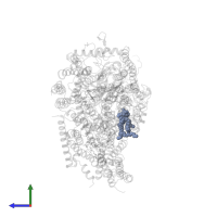 CARDIOLIPIN in PDB entry 5z62, assembly 1, side view.