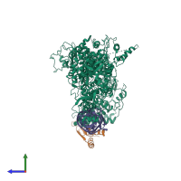 PDB entry 5zam coloured by chain, side view.