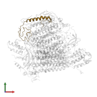 Cytochrome c oxidase subunit 6A2, mitochondrial in PDB entry 5zcp, assembly 2, front view.