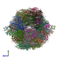 PDB entry 5zf0 coloured by chain, side view.