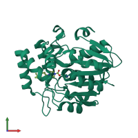 PDB entry 5zht coloured by chain, front view.