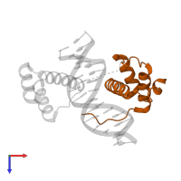 Homeobox protein extradenticle in PDB entry 5zjq, assembly 1, top view.