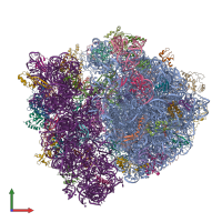 PDB entry 5zlu coloured by chain, front view.