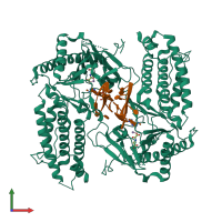Hetero tetrameric assembly 1 of PDB entry 5zmd coloured by chemically distinct molecules, front view.