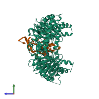 Hetero tetrameric assembly 1 of PDB entry 5zmd coloured by chemically distinct molecules, side view.