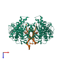 Hetero tetrameric assembly 1 of PDB entry 5zmd coloured by chemically distinct molecules, top view.