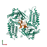 Hetero tetrameric assembly 2 of PDB entry 5zmd coloured by chemically distinct molecules, front view.