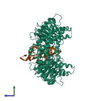 Hetero tetrameric assembly 2 of PDB entry 5zmd coloured by chemically distinct molecules, side view.