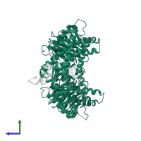 Alpha-ketoglutarate-dependent dioxygenase FTO in PDB entry 5zmd, assembly 2, side view.