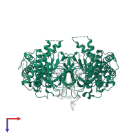 Alpha-ketoglutarate-dependent dioxygenase FTO in PDB entry 5zmd, assembly 2, top view.