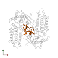 DNA (5'-D(P*TP*CP*TP*(6MA)P*TP*AP*TP*CP*G)-3') in PDB entry 5zmd, assembly 2, front view.